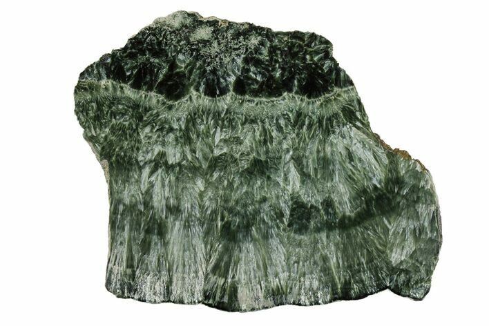 Polished Seraphinite Slab - Siberia #174918